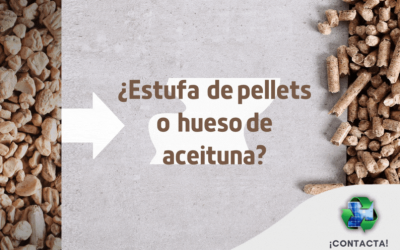 Consejo