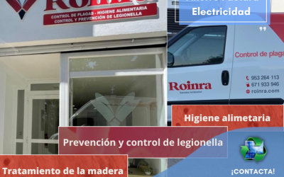 Ahorro – Factura electricidad pyme