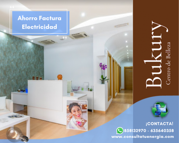 Ahorro – Factura electricidad pyme