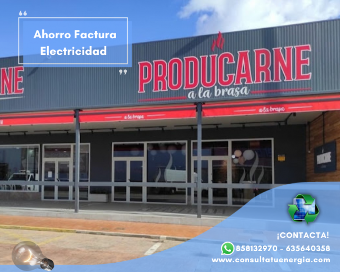 Ahorro – Factura electricidad pyme