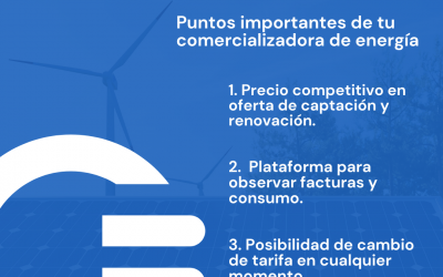 Consejo